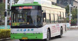 廈門911路 廈門911路