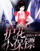 護花小保鏢 護花小保鏢