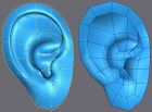 聽力學專業-耳朵模型