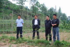 黃莊村[山西省陵川縣西河底鎮下轄村]