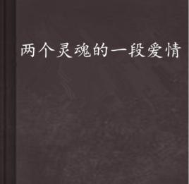 兩個靈魂的一段愛情 兩個靈魂的一段愛情