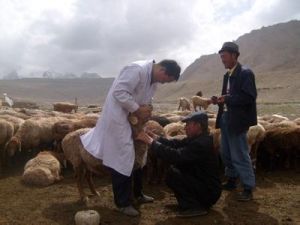 動物生物技術 專業 動物生物技術 專業