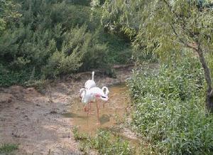 西霞口野生動物保護區