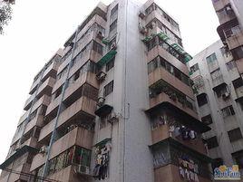 新市花園 新市花園