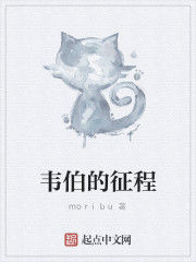 韋伯的征程 韋伯的征程