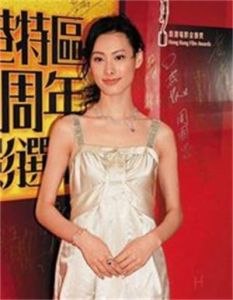 香港特區十周年電影選舉 香港特區十周年電影選舉