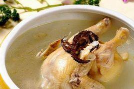 海馬雞肉湯 海馬雞肉湯