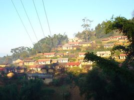 芒洪自然村 芒洪自然村