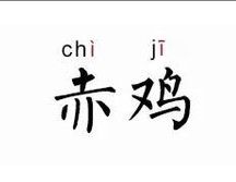 赤雞[網路用語]