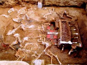 秦始皇祖母陵：“天子駕六”陪葬車馬坑（整座大墓的成“亞”字形大墓，組成獨立陵園）