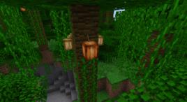 可可果[minecraft中的方塊]