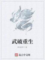 武破重生 武破重生