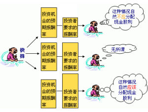 剩餘股利政策 剩餘股利政策