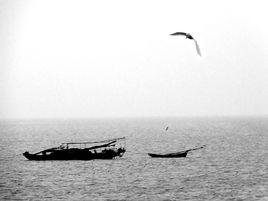 太湖漁歌 太湖漁歌