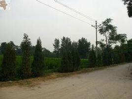 長信村[河北省邢台市]