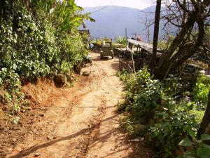 蚌岡新寨村 蚌岡新寨村