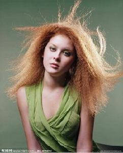 芮妮·奧斯黛德 芮妮·奧斯黛德