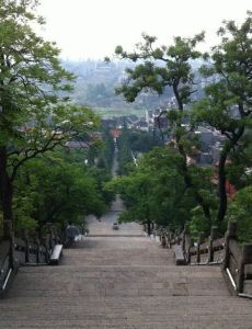 真武山公園 真武山公園
