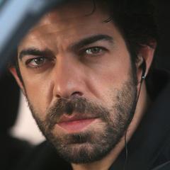 皮爾佛朗西斯科·法維諾 皮爾佛朗西斯科·法維諾