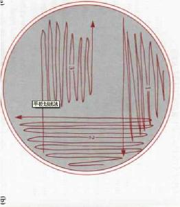 劃線培養法 劃線培養法