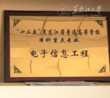 電子信息工程省級重點專業