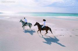 悠閒生活 悠閒生活