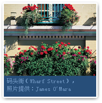 （圖）維多利亞