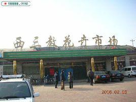 石家莊西三教花卉市場 石家莊西三教花卉市場