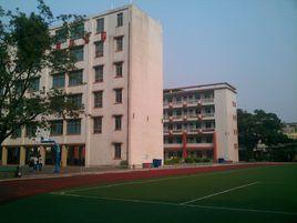 港灣中學 港灣中學