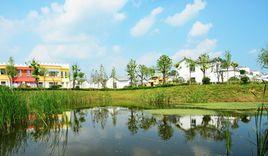 江蘇省泗陽成子湖旅遊度假區 江蘇省泗陽成子湖旅遊度假區