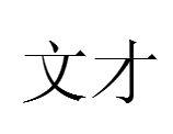 文才[漢語辭彙]