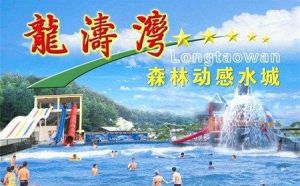 龍濤灣森林動感水城 龍濤灣森林動感水城