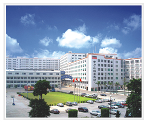 廣東格蘭仕企業集團股份有限公司