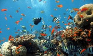 海角一號 海角一號