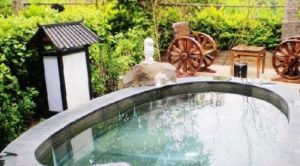 銀杏帝都溫泉 銀杏帝都溫泉