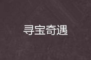 尋寶奇遇 尋寶奇遇