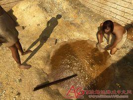 埃及預言 埃及預言