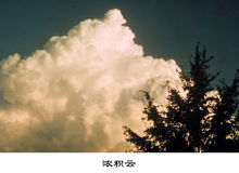濃積雲