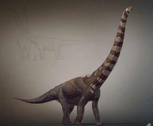 普爾塔龍 普爾塔龍