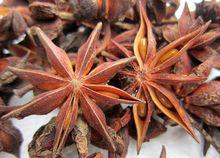 八角[木蘭科八角屬植物]