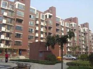 龍庭花園 龍庭花園