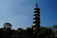 龍游[浙江省衢州市轄縣]