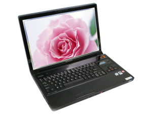 聯想 IdeaPad Y710AT8300