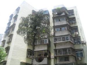 海王小區外景圖