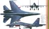 蘇-30多用途戰鬥機 蘇-30多用途戰鬥機