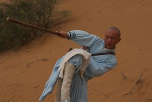 少林寺傳奇之大漠英豪