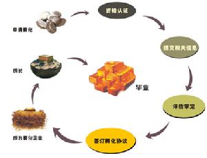 （圖）孵化程式