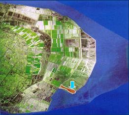 上海崇明東灘鳥類國家級自然保護區