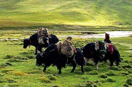 高原之舟 高原之舟