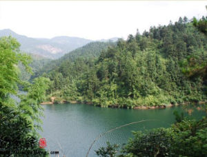 余家河水庫 余家河水庫